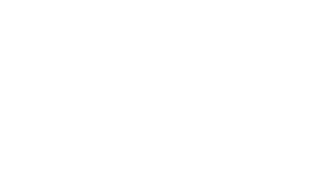 AnyDesk